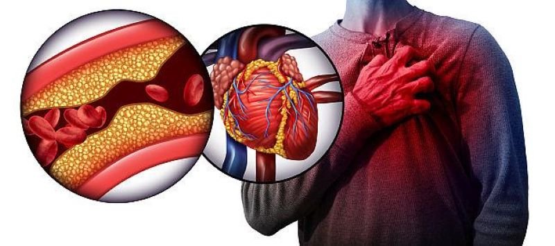  Descoperire privind modul prin care organismul reglează tensiunea arterială