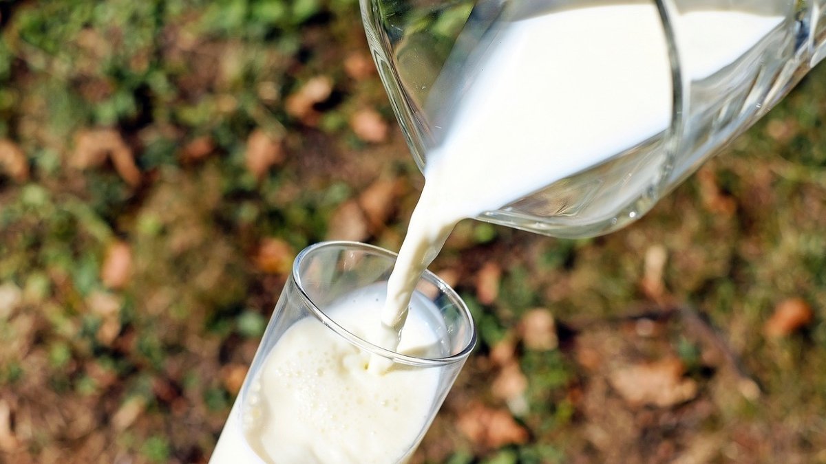  Observatorul laptelui şi al produselor lactate. Este interzisă inscripţionarea „Produs Românesc” dacă nu este obţinut în România din materii prime de bază 100% din fermele din țară