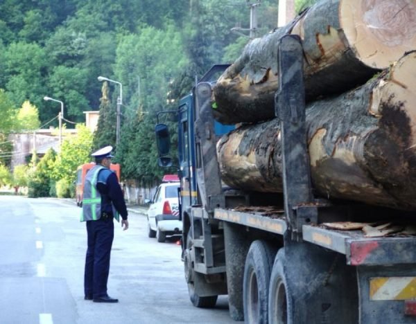  Camion cu 15 mc de lemne fără acte, confiscat vineri seară de Poliţie la Iaşi