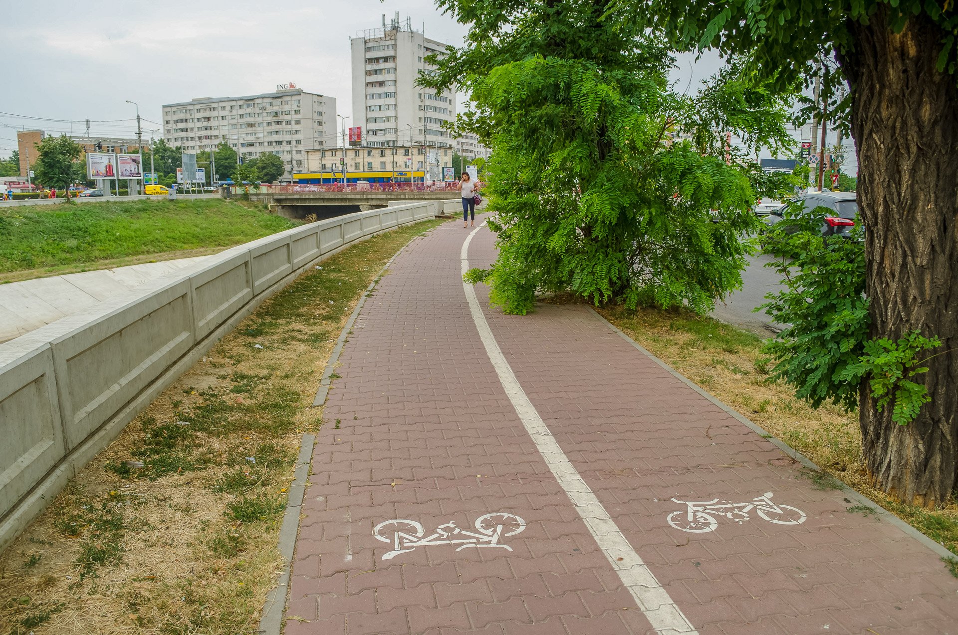  Ruşinos: Primăria Iași a ratat o finanțare uriaşă pentru piste de biciclete pentru că a depus târziu proiectul