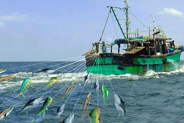  România va primi 232 milioane de euro de la Fondul european pentru pescuit maritim şi acvacultură