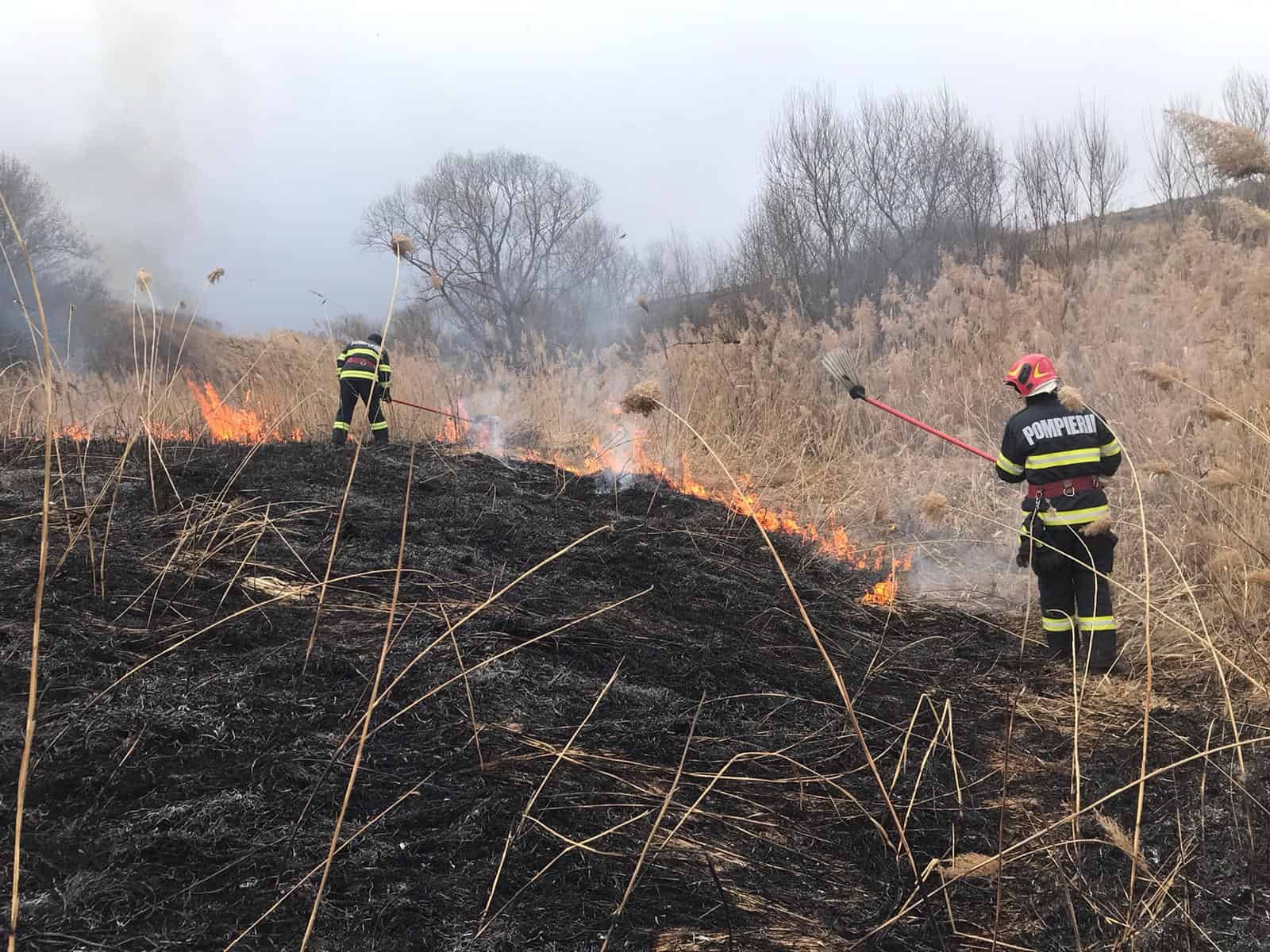  Incendiu de vegetație în comuna Victoria