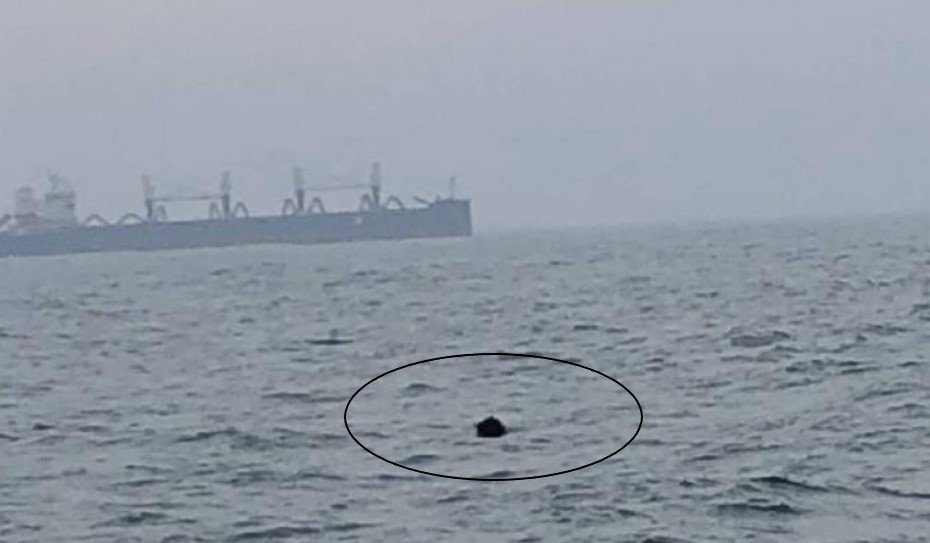  Alertă! Mină marină, descoperită în apropierea Portului Constanţa (FOTO)