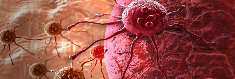  Indiciu nou privind răspândirea celulelor canceroase în organism