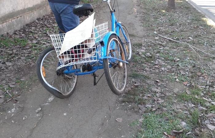  Două persoane au ajuns la spital în urma unui accident de tricicletă produs la Dumbrava