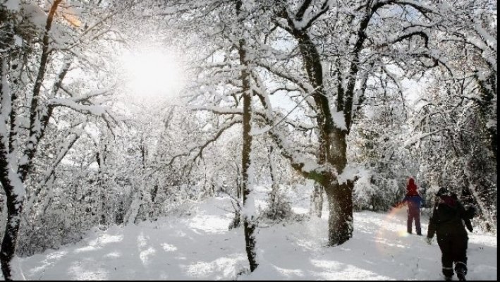  Temperaturi neobișnuite în decembrie, în România! Prognoza meteo pentru următoarele 4 săptămâni