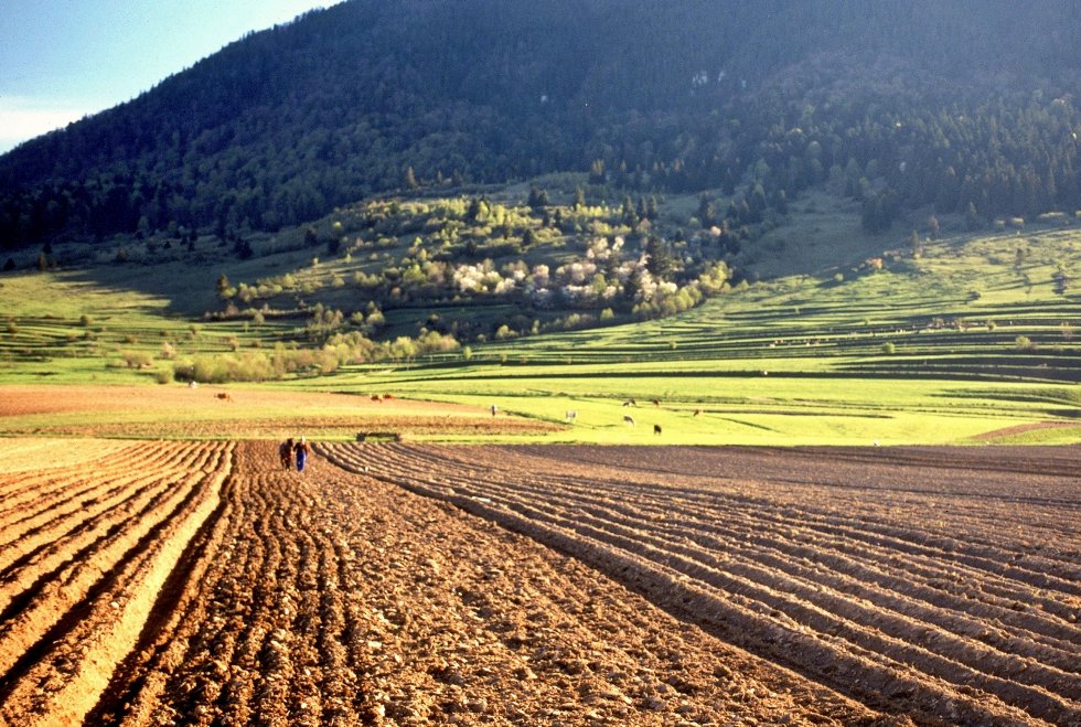  Terenul arabil este mai scump în România decât în Bulgaria, Franţa sau Ungaria