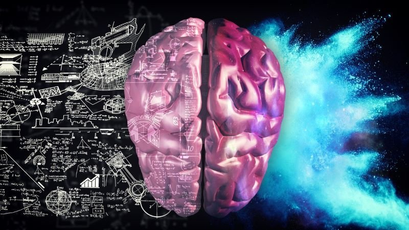  Ce se întâmplă în creierul nostru atunci când învățăm lucruri noi?