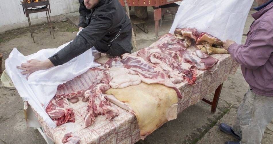  Un măcelar a fost ucis de porcul pe care voia să-l sacrifice. Totul s-a întâmplat după ce a împușcat animalul