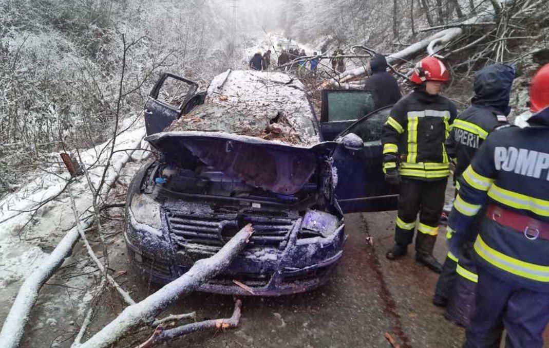  (FOTO) Adolescent de 14 ani mort după ce un copac a căzut peste maşina în care se afla