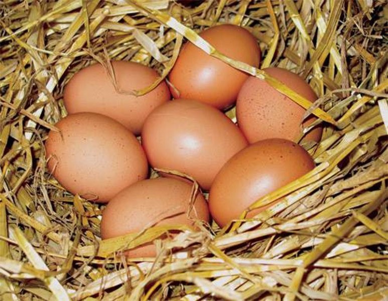  Care ar fi un preț corect pentru oul de țară?