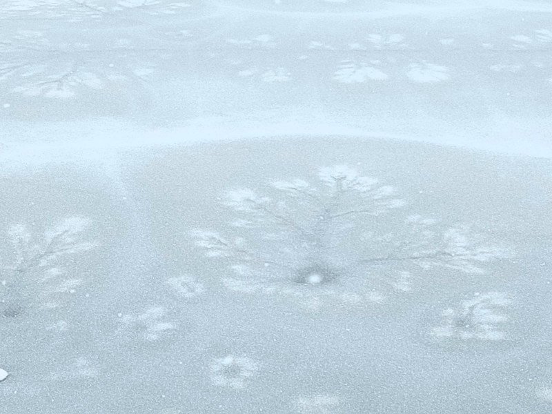  FOTO Fenomen rar pe Lacul Beliș: gravură naturală pe suprafața înghețată a apei!