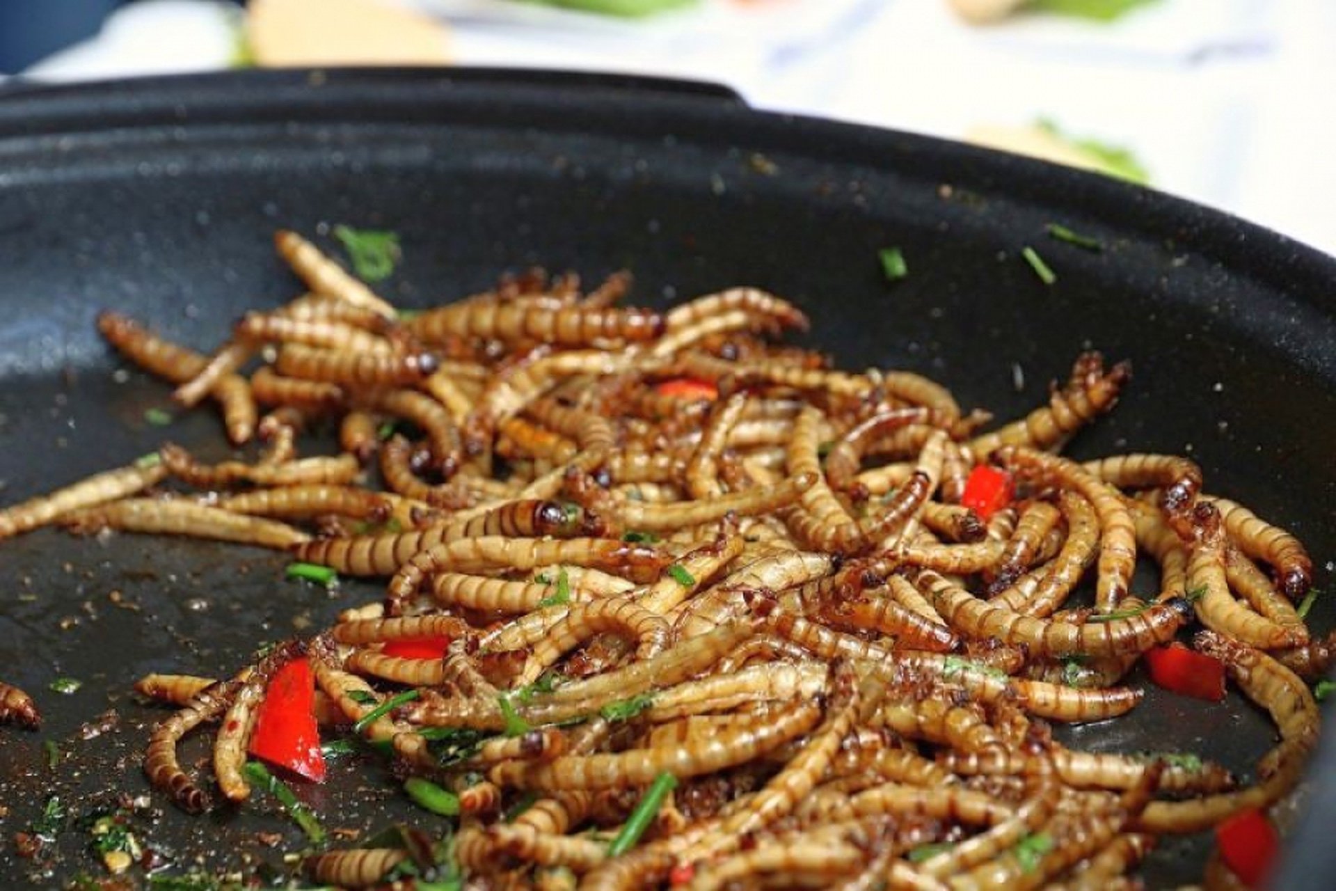 3 mari minciuni despre folosirea insectelor în alimente, în UE