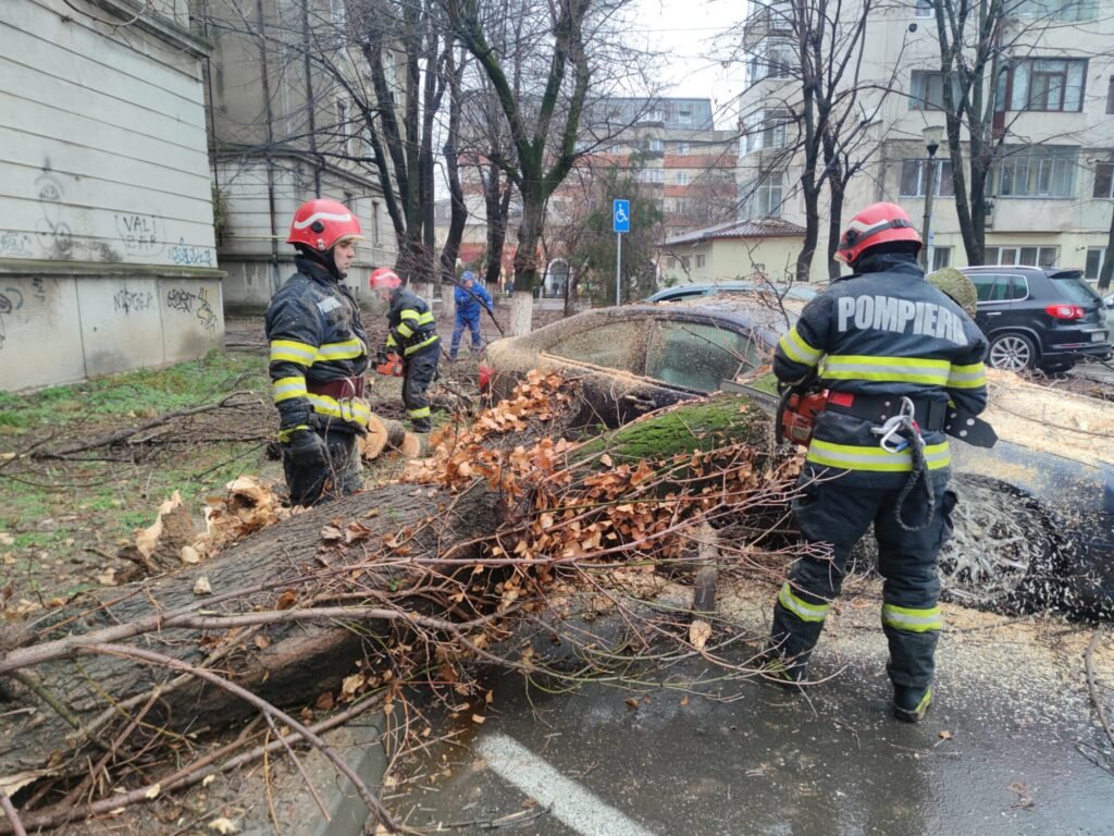  Copac căzut pe strada Columna. Este prezentă descarcerarea