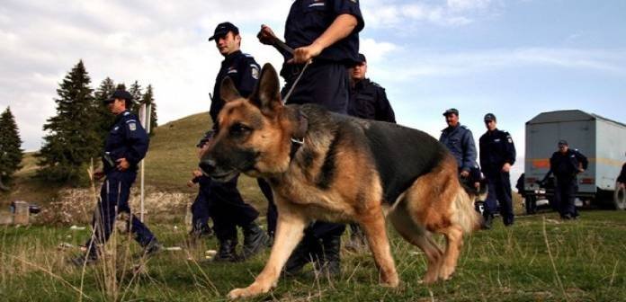  Un moldovean a fost fugărit de polițiști cu câinele de urmă, după ce ieșise din Prut încărcat cu țigări