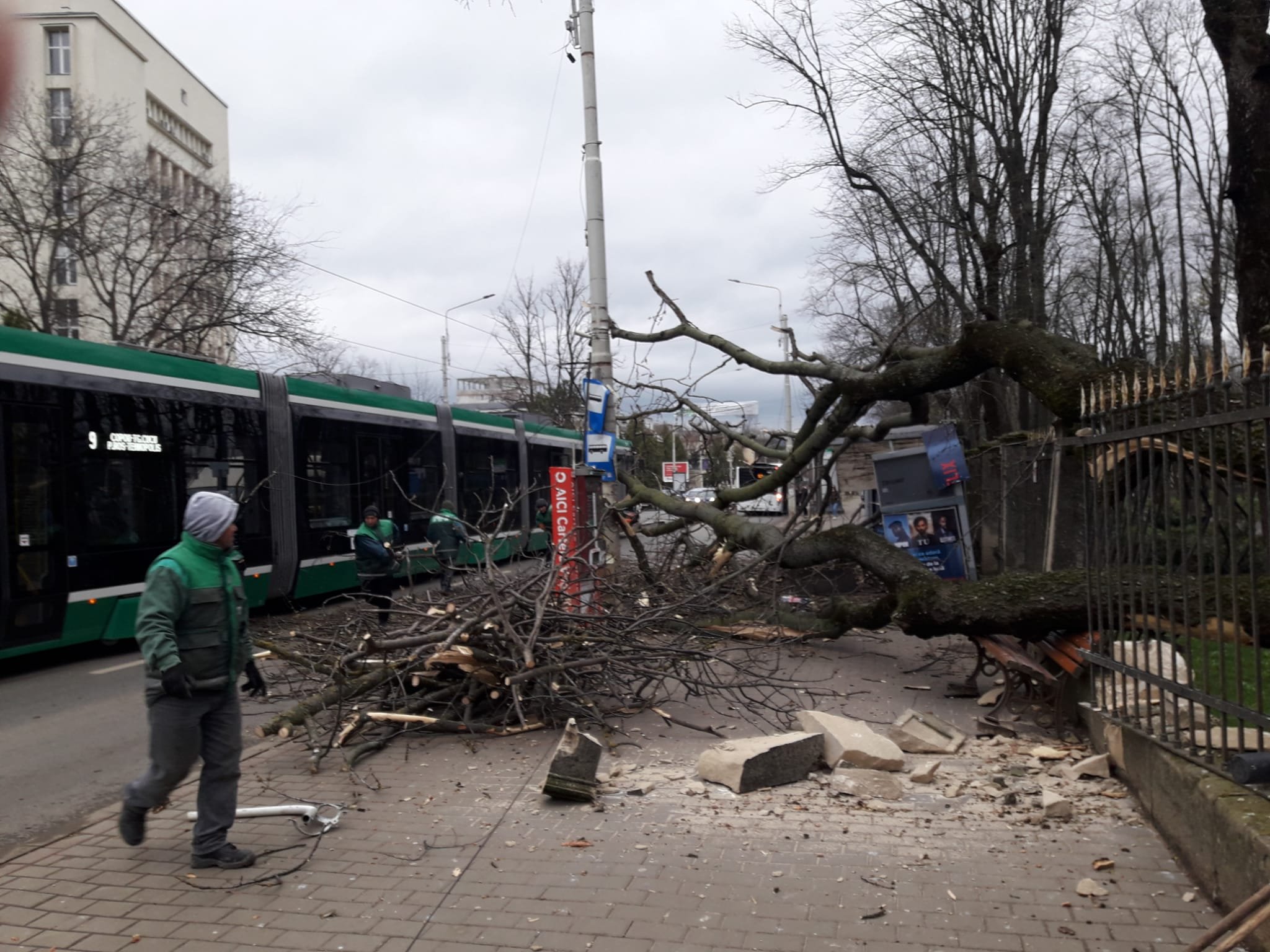  VIDEO Momentul în care un copac din Copou cade peste stația de autobuz generând flame electrice