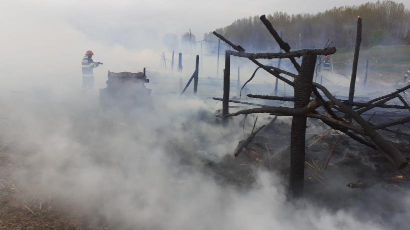  100 de oi au murit într-un incendiu izbucnit la o stână din Măcin