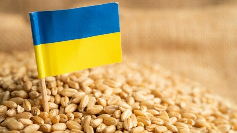  O supraabundenţă de cereale afectează bunăvoinţa de care Ucraina are mare nevoie