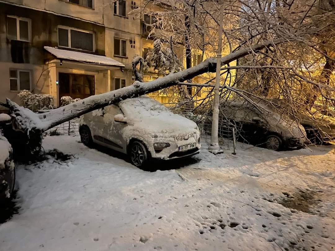  Maşini distruse şi străzi închise de copaci, azi noapte, la Iaşi – FOTO