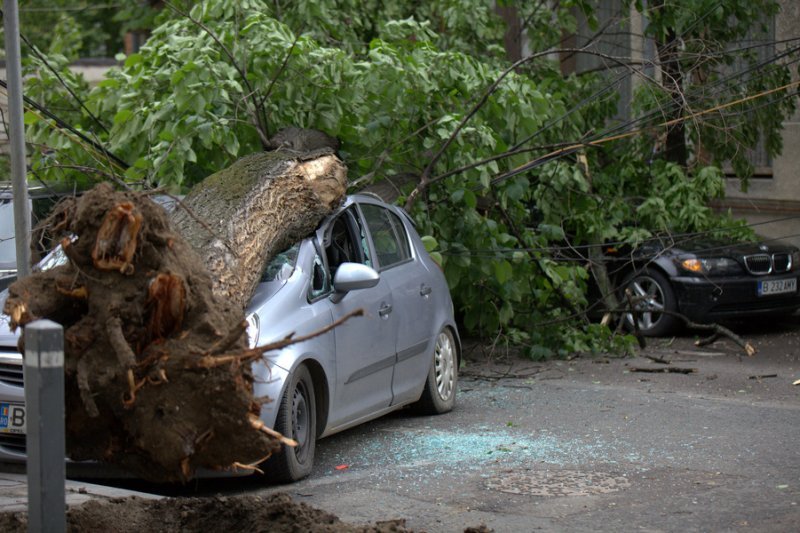  După 8 ani prin instanţe, o ieşeancă nu a primit încă banii pentru maşina distrusă de un copac