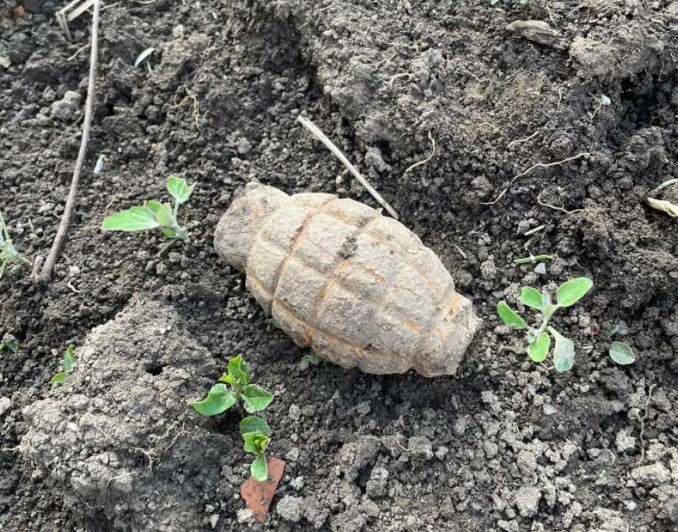  Un sătean din Coteana a dat peste o grenadă în timp ce săpa în grădină