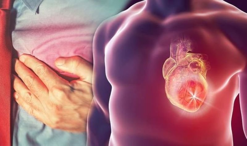  Inimi refăcute complet după un infarct prin reprogramare celulară
