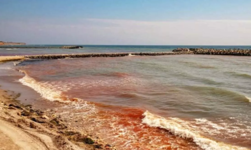  Fenomen rar, în stațiunea Olimp: Marea Neagră a devenit roșie – cât de periculos este fenomenul