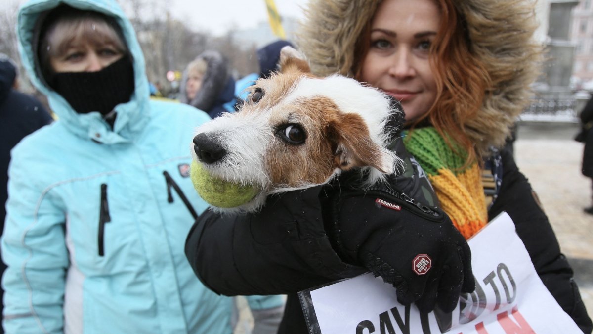  Refugiații ucraineni nu mai pot intra în România cu animale de companie fără dovada vaccinării