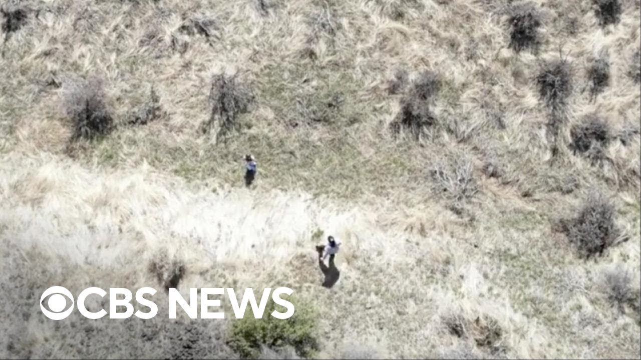  VIDEO Fetiță de 3 ani, dispărută, găsită cu o dronă în mijlocul sălbăticiei