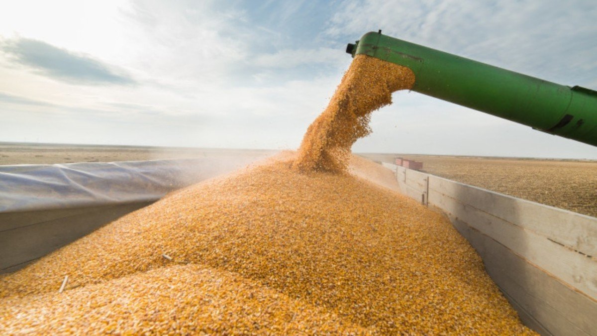  Importurile de grâu, porumb, floarea-soarelui şi rapiţă din Ucraina, oprite până la 5 iunie