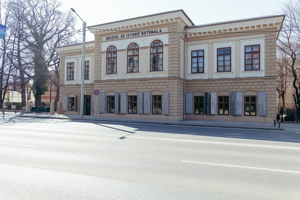 FOTO S-au terminat lucrările de restaurare la Muzeul Natural Iași. S-au cheltuit aproape 3 milioane de euro