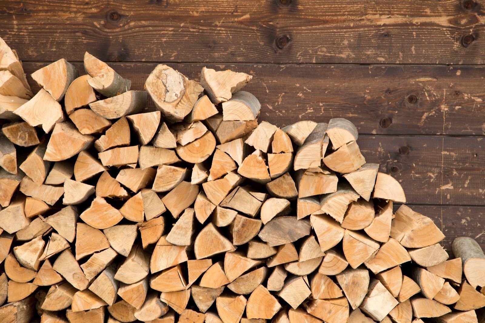  Angajaţii din domeniul silvic se judecă pentru a primi şase metri cubi de lemn de foc în fiecare an