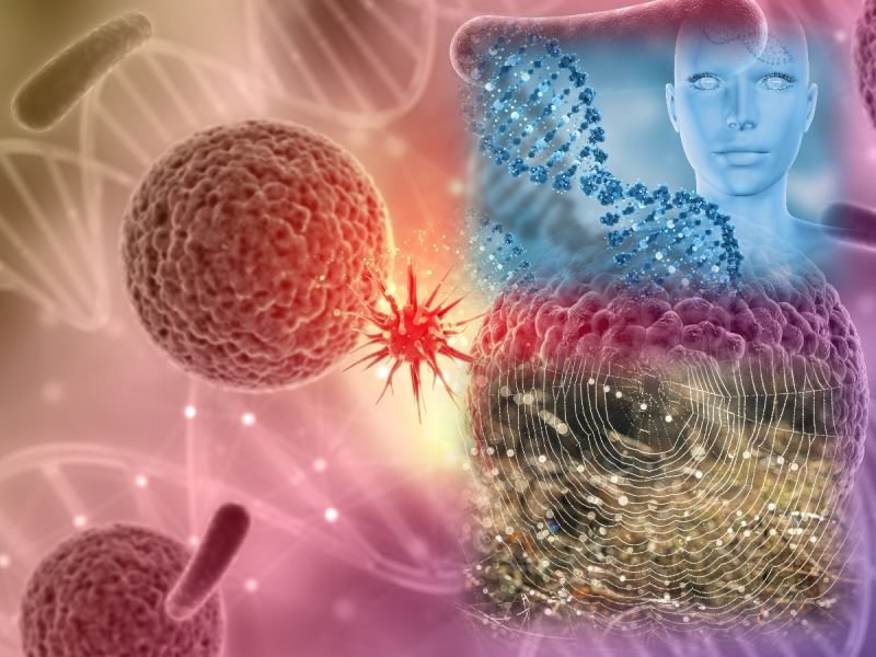  Celulele imunitare se pot activa singure pentru a lupta împotriva tumorilor