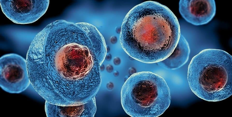  Oamenii de ştiinţă au creat embrioni umani sintetici într-un experiment revoluţionar