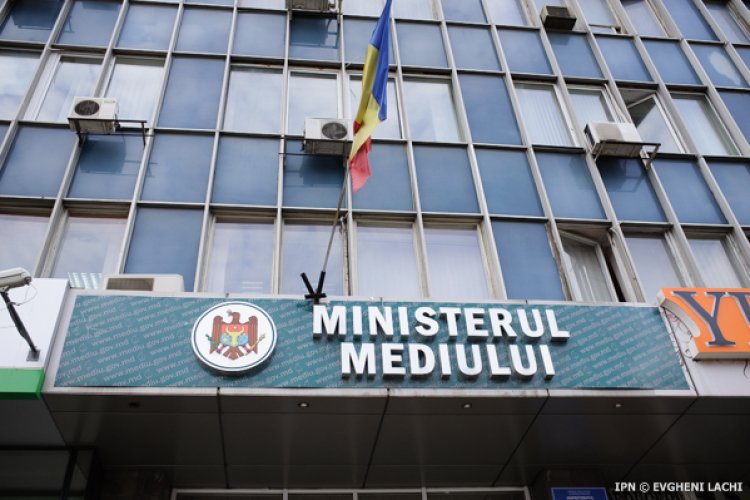  Ministerul Mediului, somat internațional pentru obstrucționarea jurnalistei Crina Boroș
