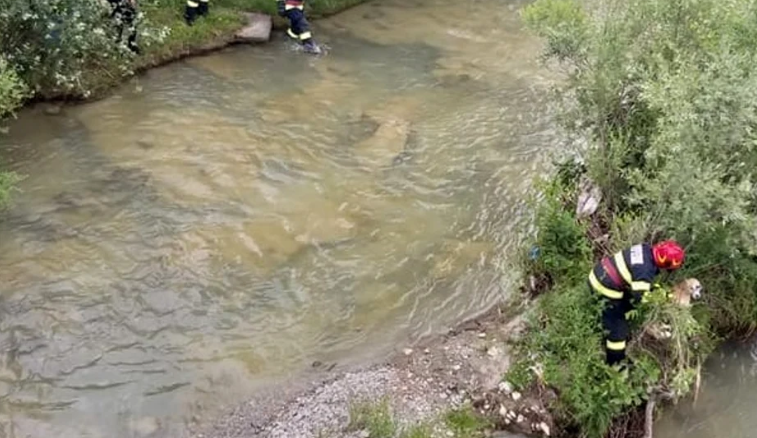  VIDEO Caz de cruzime față de animale: câine legat de bot și imobilizat în mijlocul râului Ialomița