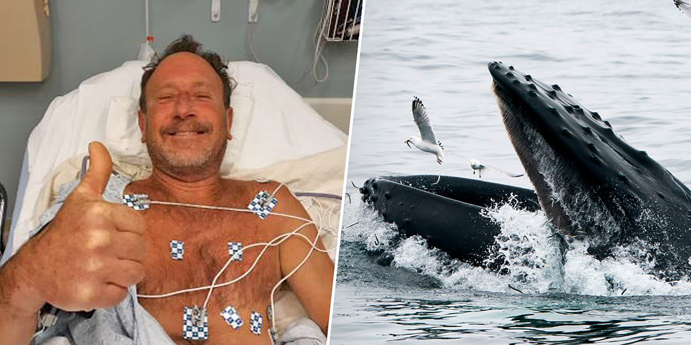  A fost înghiţit de o balenă, dar a supravieţuit. Ce i s-a întâmplat la spital