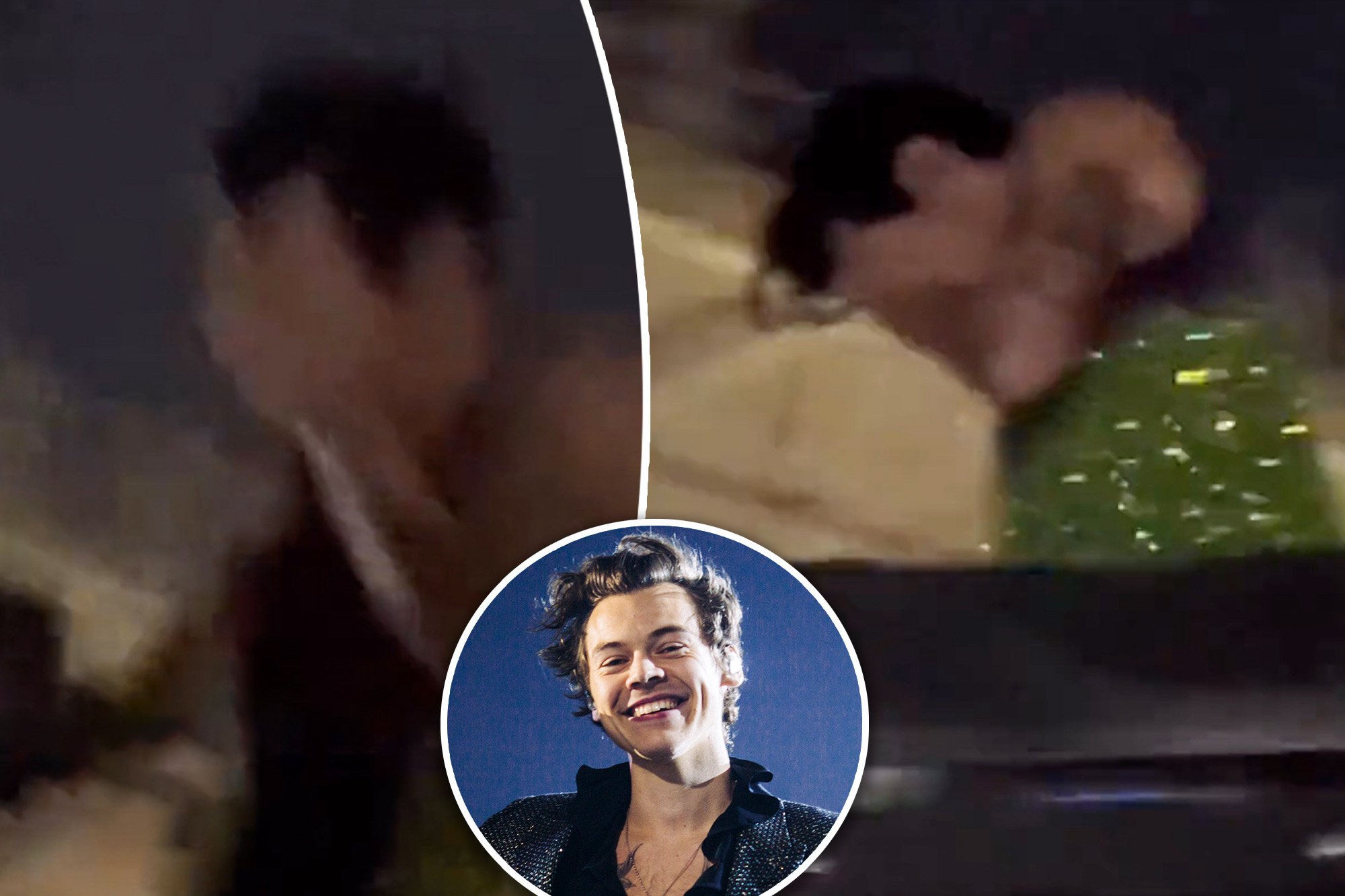  VIDEO Cântărețul Harry Styles a fost atacat în timpul unui concert în Viena