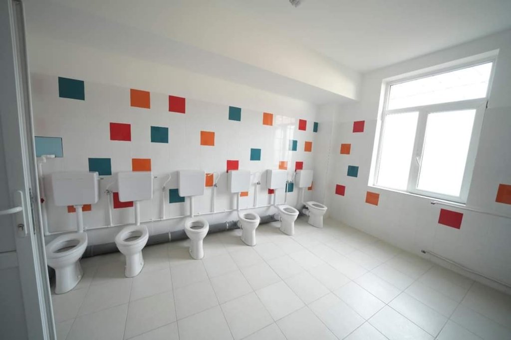  Lia Olguța Vasilescu se laudă cu toalete fără pereți despărțitori. Valul de ironii de pe net a făcut-o să șteargă pozele