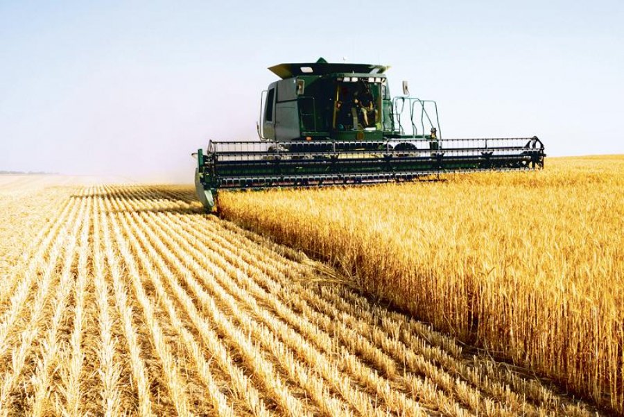  Rusia se laudă că va înlocui cerealele ucrainene destinate Africii