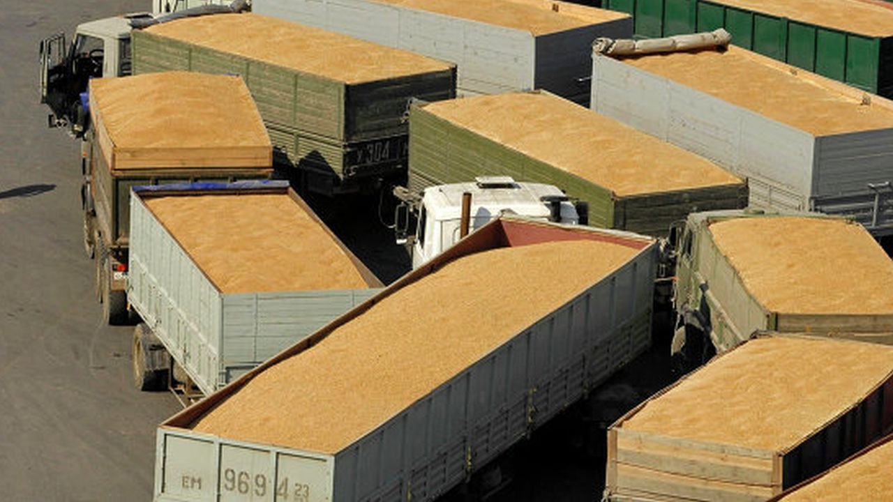  Germania şi Franţa se opun prelungirii restricţiilor pentru importurile de cereale ucrainene în România şi alte patru ţări UE