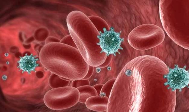  Cercetătorii au descoperit semne de epuizare în celulele imune la doar câteva ore după expunerea la tumori