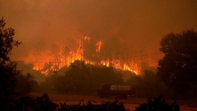  Atenţionare MAE: În Portugalia se menţine riscul de producere a incendiilor de vegetaţie