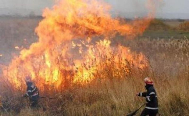  Bacău: Un bărbat a murit după ce a fost surprins de un incendiu de vegetaţie