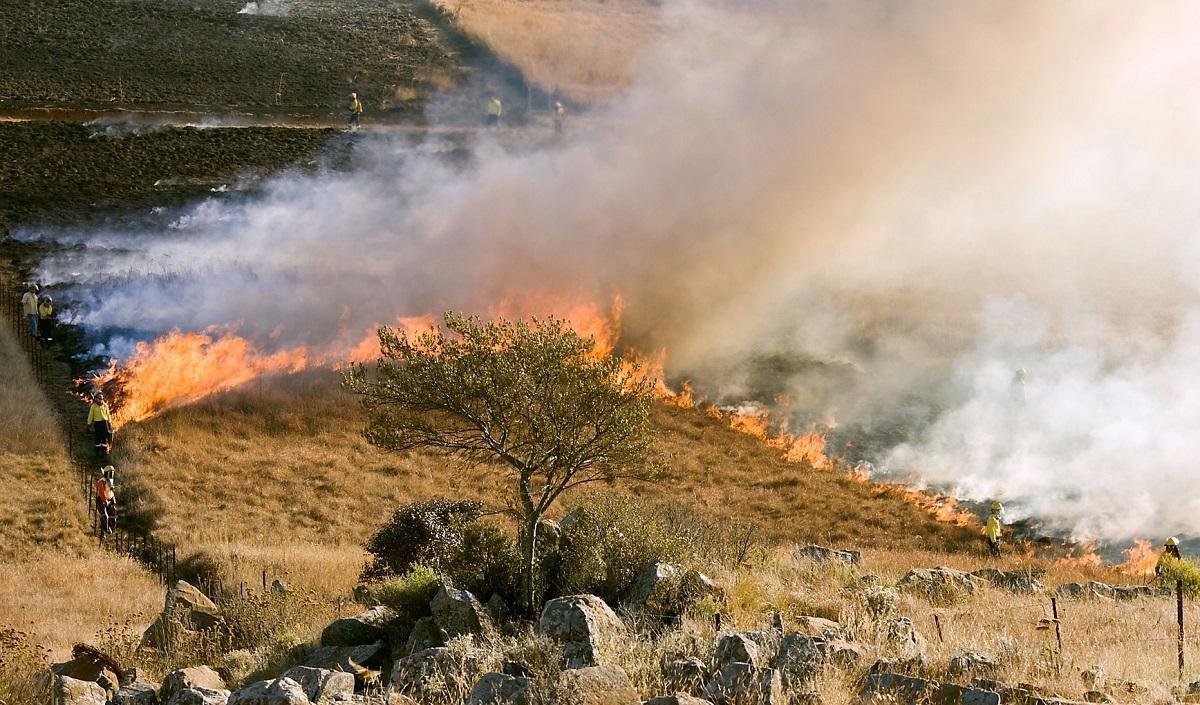  Optsprezece cadavre arse, posibil ale unor imigranţi, au fost găsite într-o pădure din Grecia