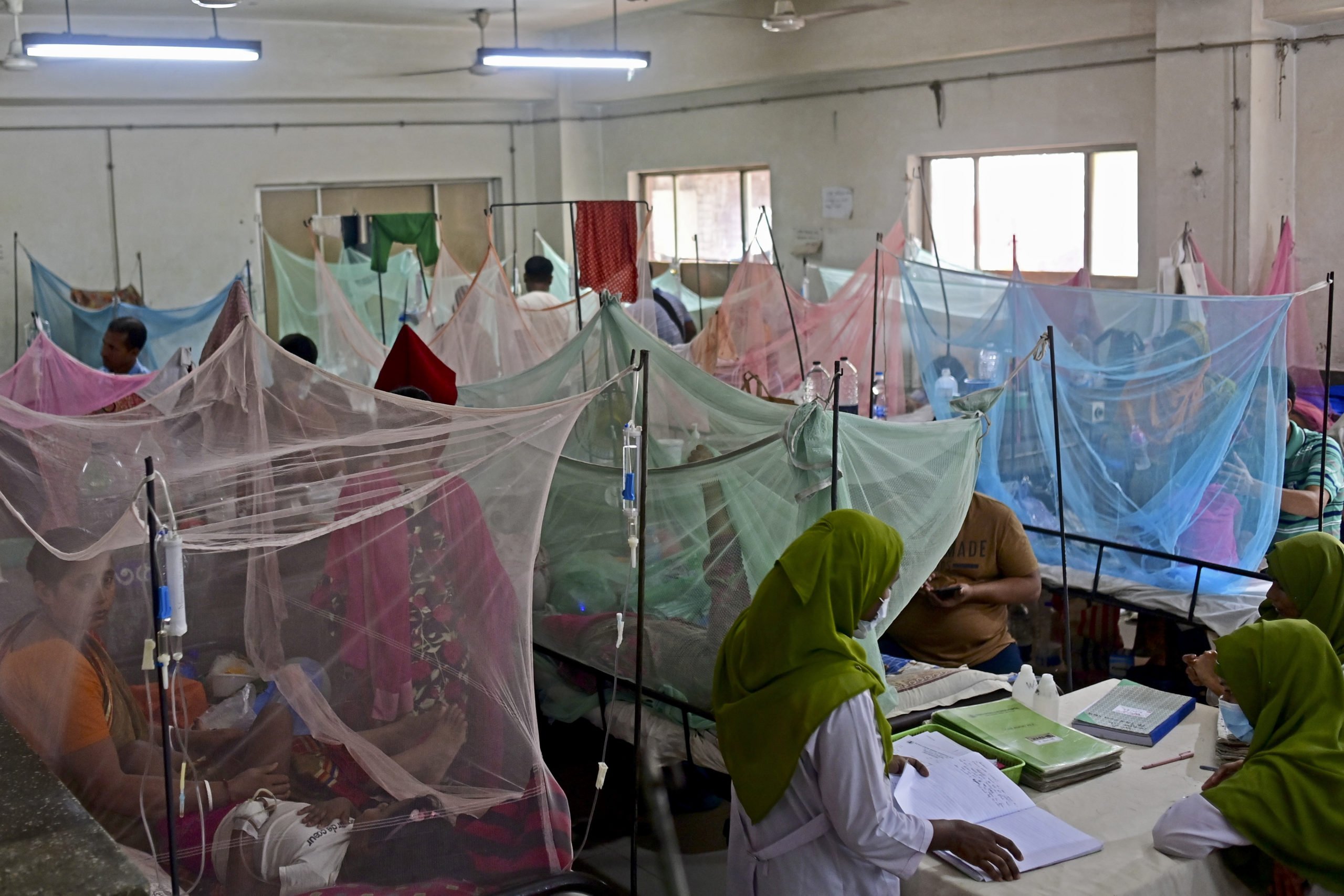  Focar de febră dengue în Bangladesh: Autorităţile raportează un număr record de decese