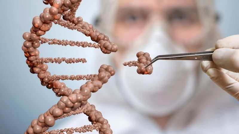  Secvențierea cromozomului Y ar putea explica apariția unor boli grave ale bărbaților