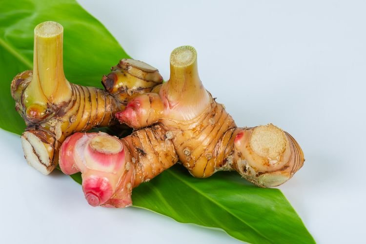  Proprietăţile anticancer ale unei plante din Asia, confirmate de o echipă de cercetători japonezi