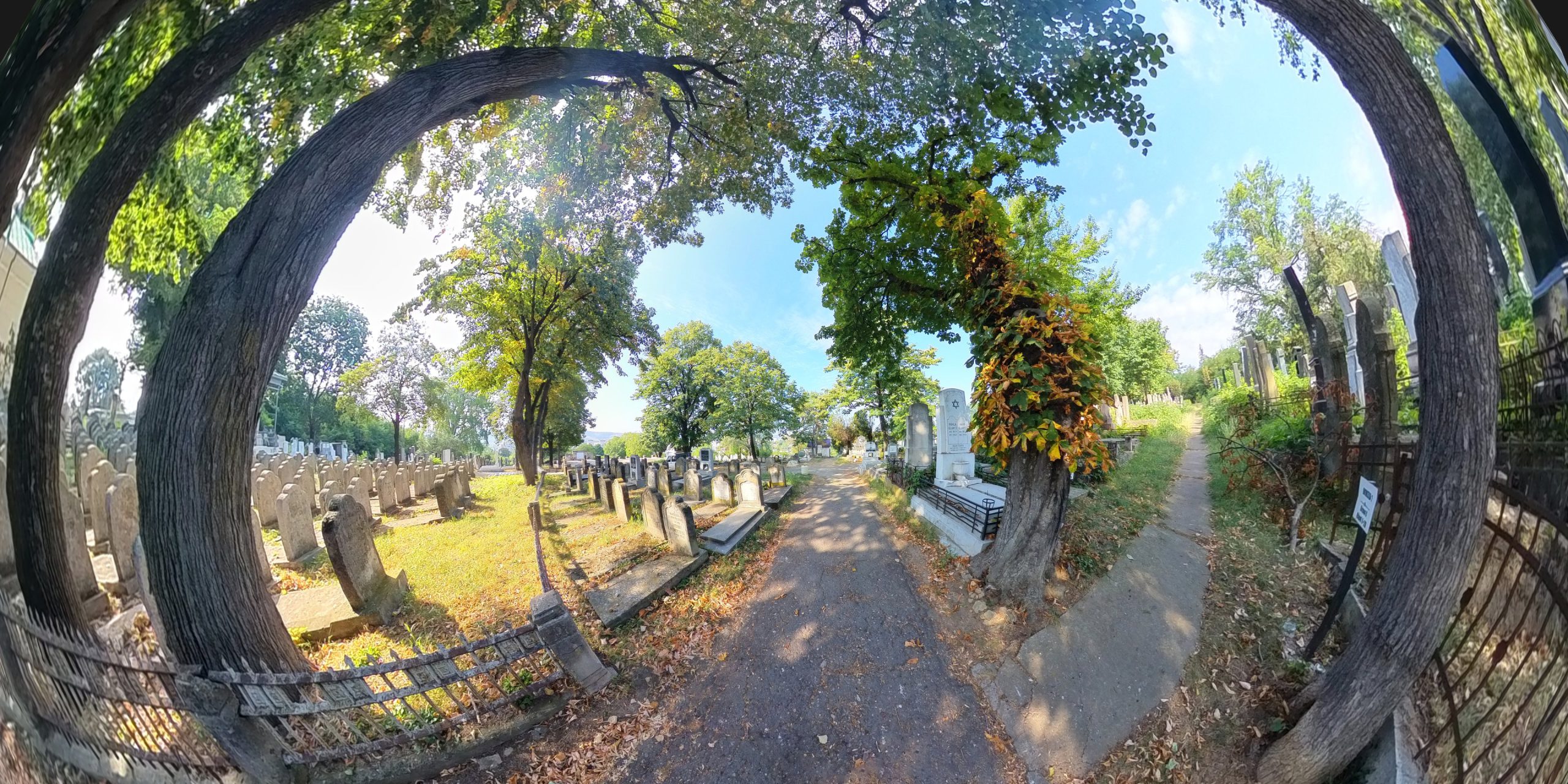 Iași: primul tur virtual al unui cimitir evreiesc din România