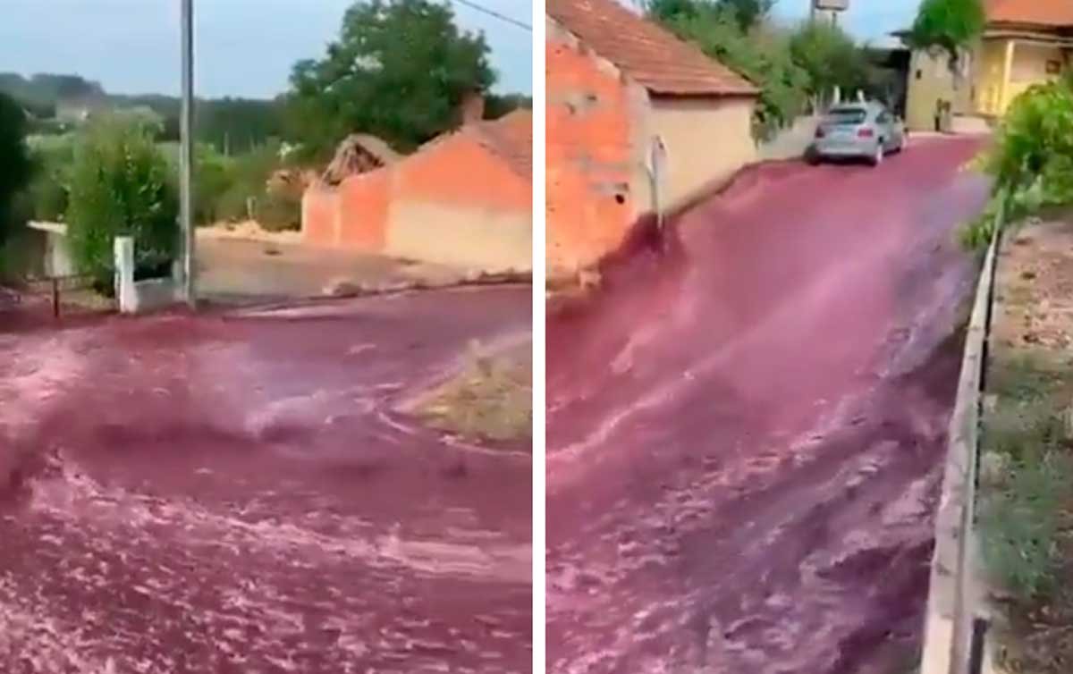  Scenă neobişnuită: Un sat din Portugalia a fost inundat de un torent de vin roşu (VIDEO)